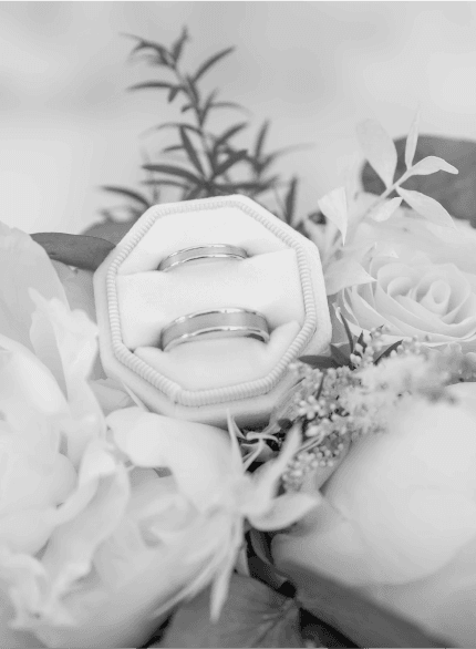 Table setting with elegant plates and napkins